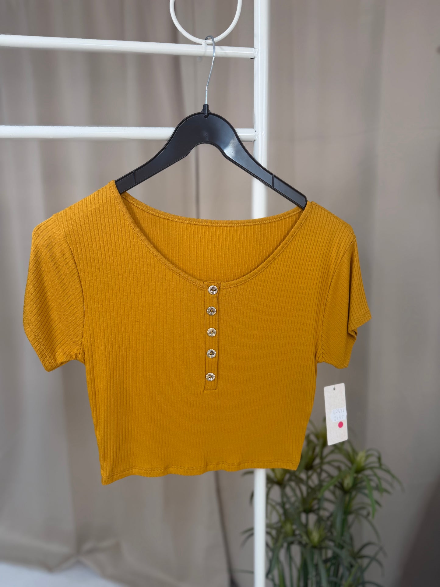 Crop Shirt Wendy